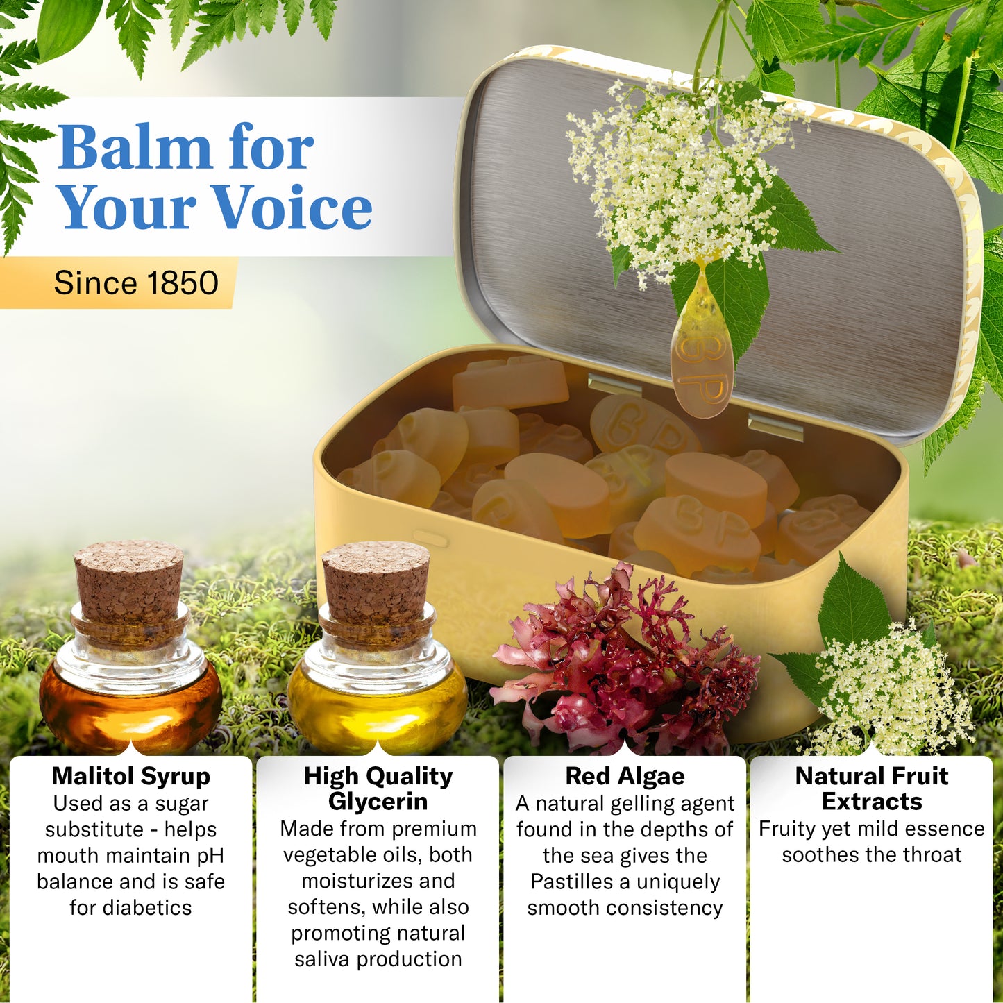 Sugarfree Elderflower
