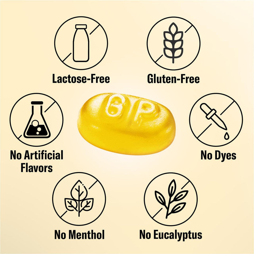 Sugarfree Ginger Lemon - Grether's USA