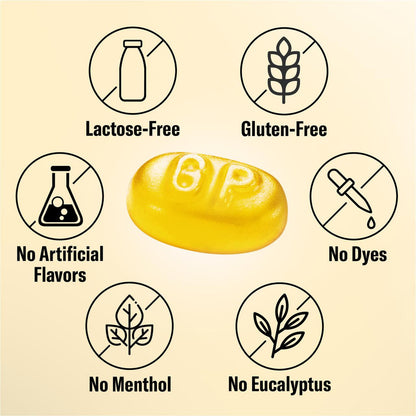 Sugarfree Ginger Lemon - Grether's USA